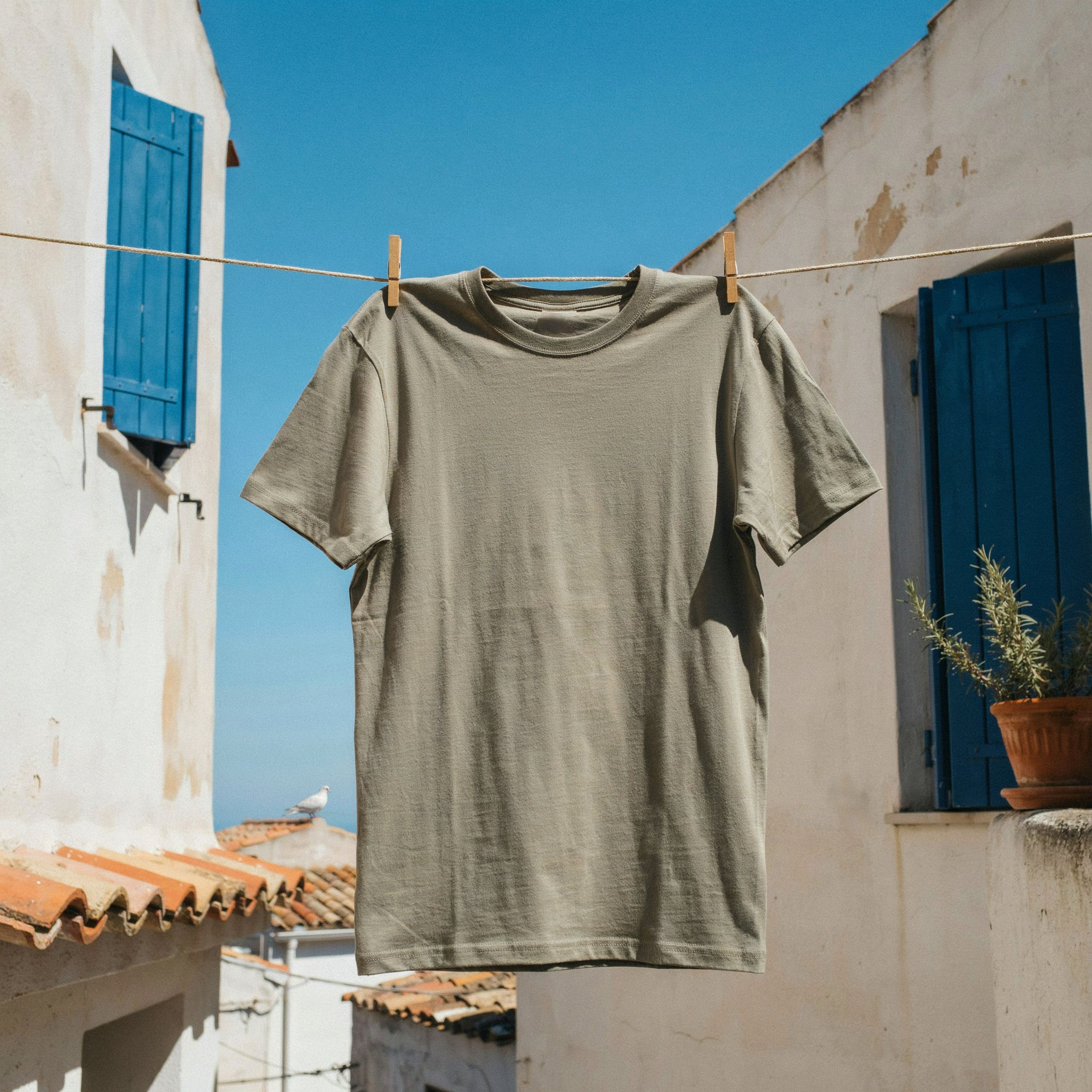 Olive Tee — Clothesline